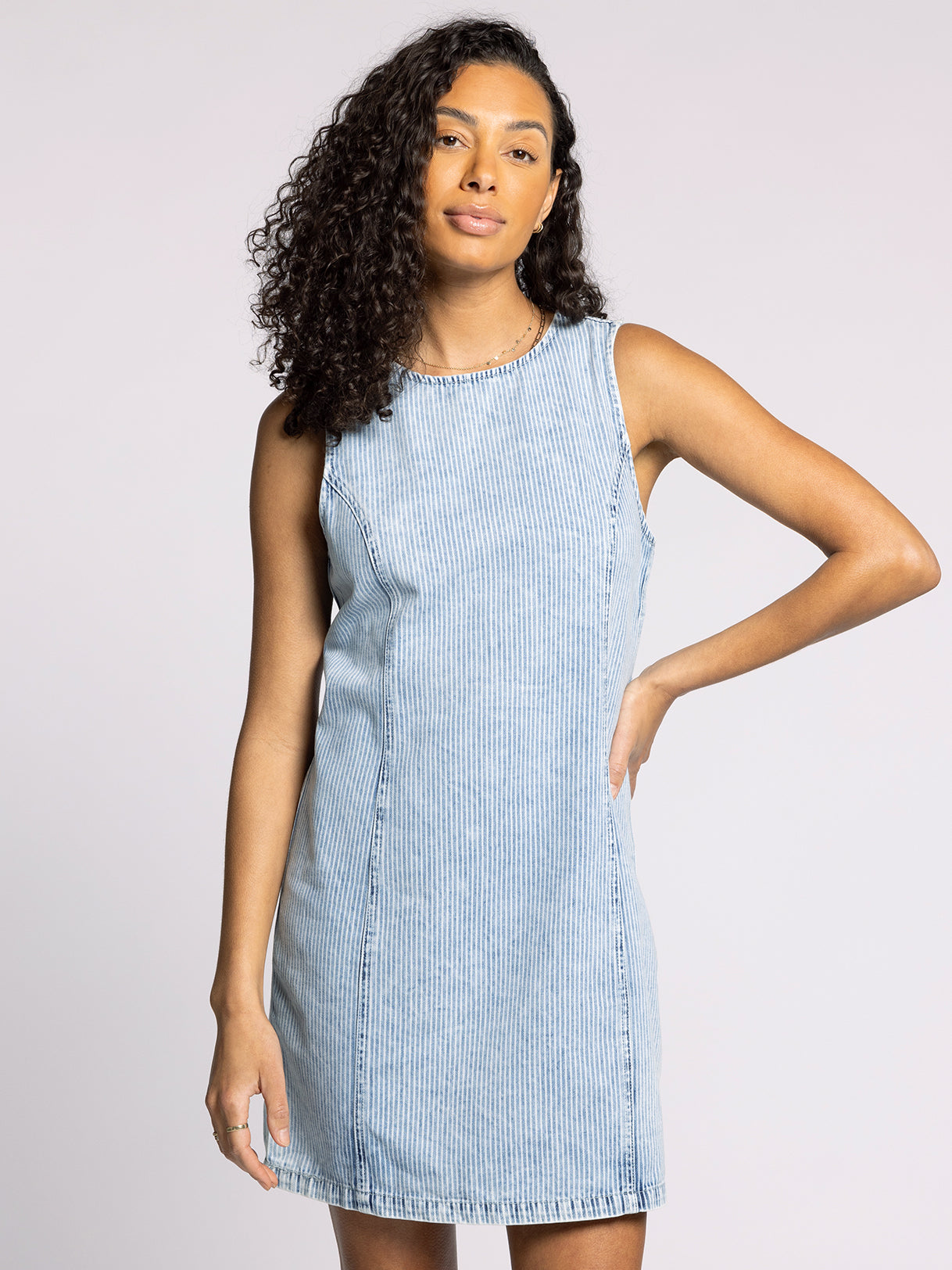 Dahlia Dress Washed Indigo Stripe / L Dahlia Dress Washed Indigo Stripe / L